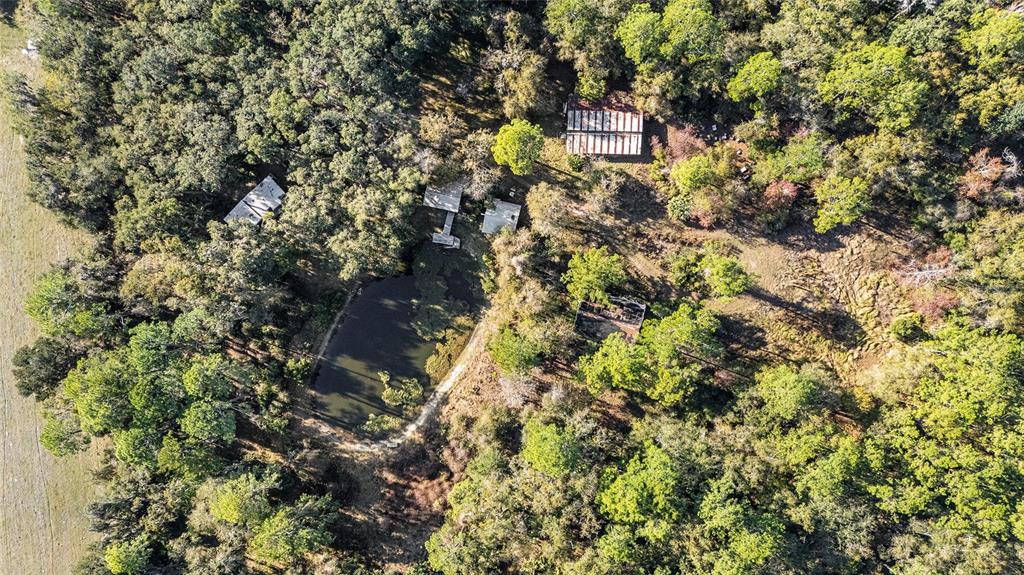 102 Southwest 109 Place Micanopy, FL 32667 - Photo 10 of 14 a close up of a tree