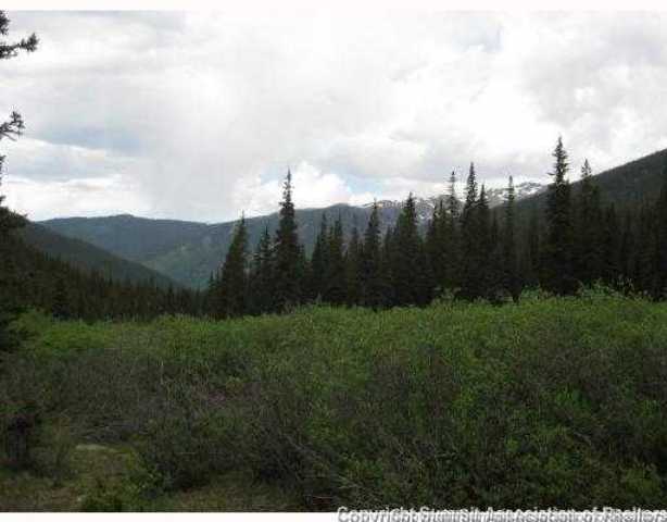 67 Webster Pass Road Dillon, CO 80435 - Photo 6 of 8 Land/Lot.