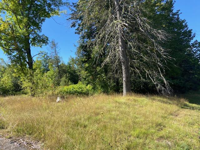 74 Shadagee Road Cornville, ME 04976 - Photo 6 of 21 IMG_1954