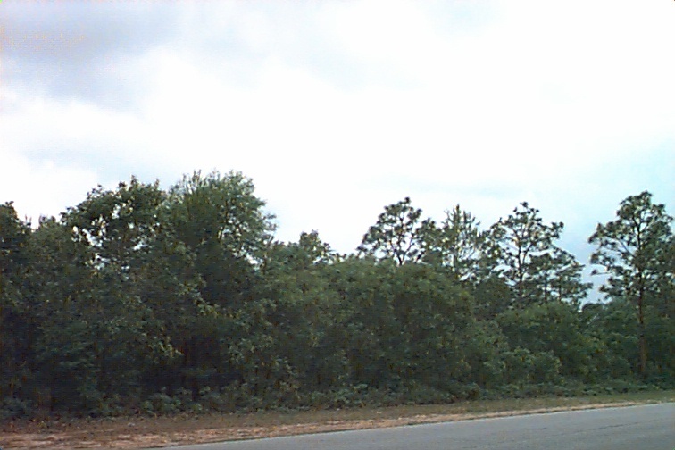 7-3 Turkey Bluff Road Navarre, FL 32566 - Photo 1 of 1 Gallery Image 1