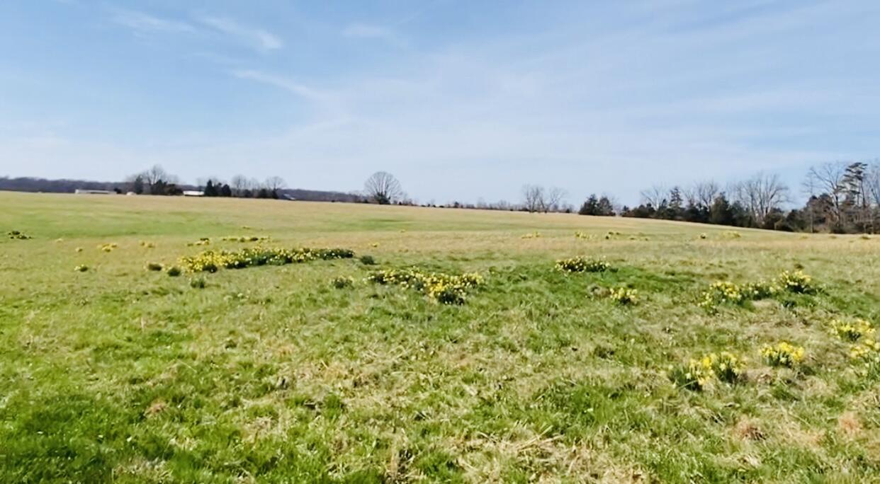 441 Gum Bottom Road Waco, KY 40385 - Photo 1 of 8 AB21F862-30D0-4A72-A7A8-88D41043DA31