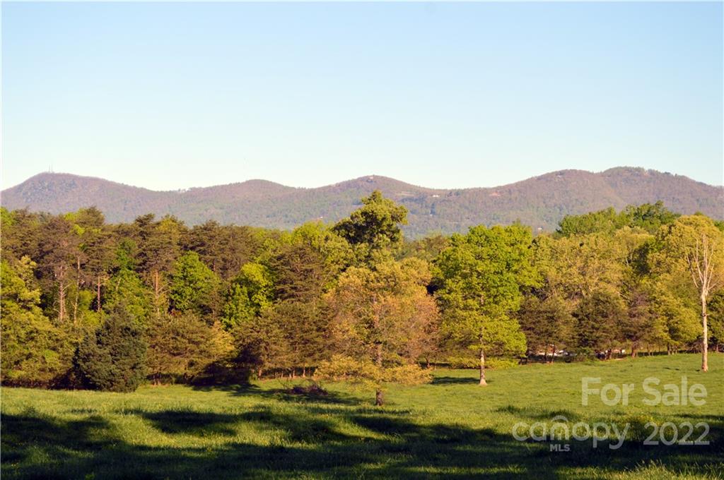0 Peniel Road Tryon, NC 28782 - Photo 3 of 10