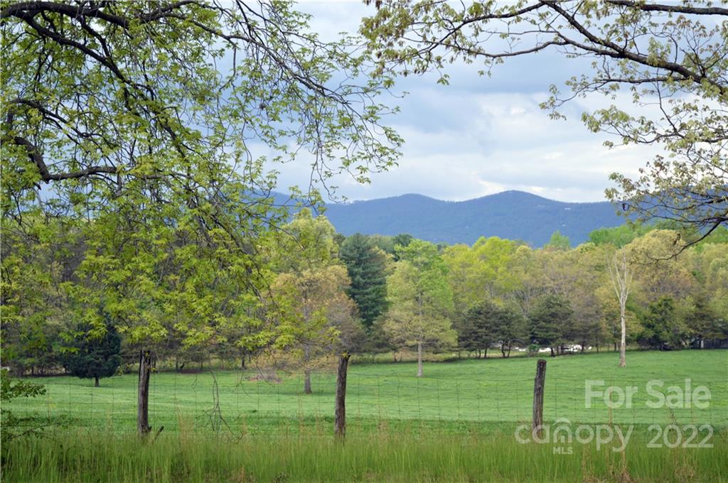 0 Peniel Road Tryon, NC 28782 - Photo 4 of 10 a view of a lush green field