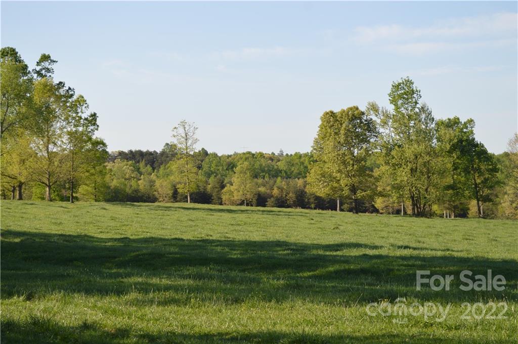 0 Peniel Road Tryon, NC 28782 - Photo 7 of 10 a big yard with lots of green space and deers