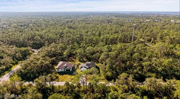 a view of a city with lush green forest