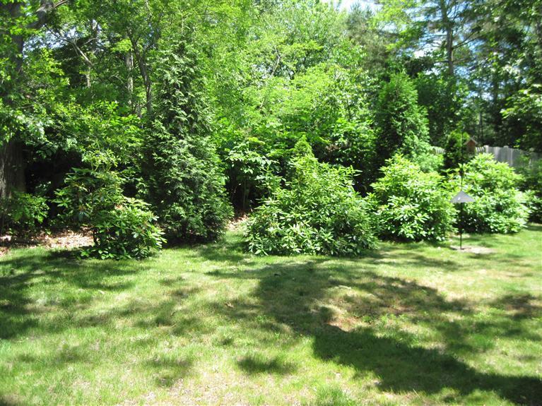 45 Old County Road, Unit 6 Eastham, MA 02642 - Photo 24 of 35 Additional Photo