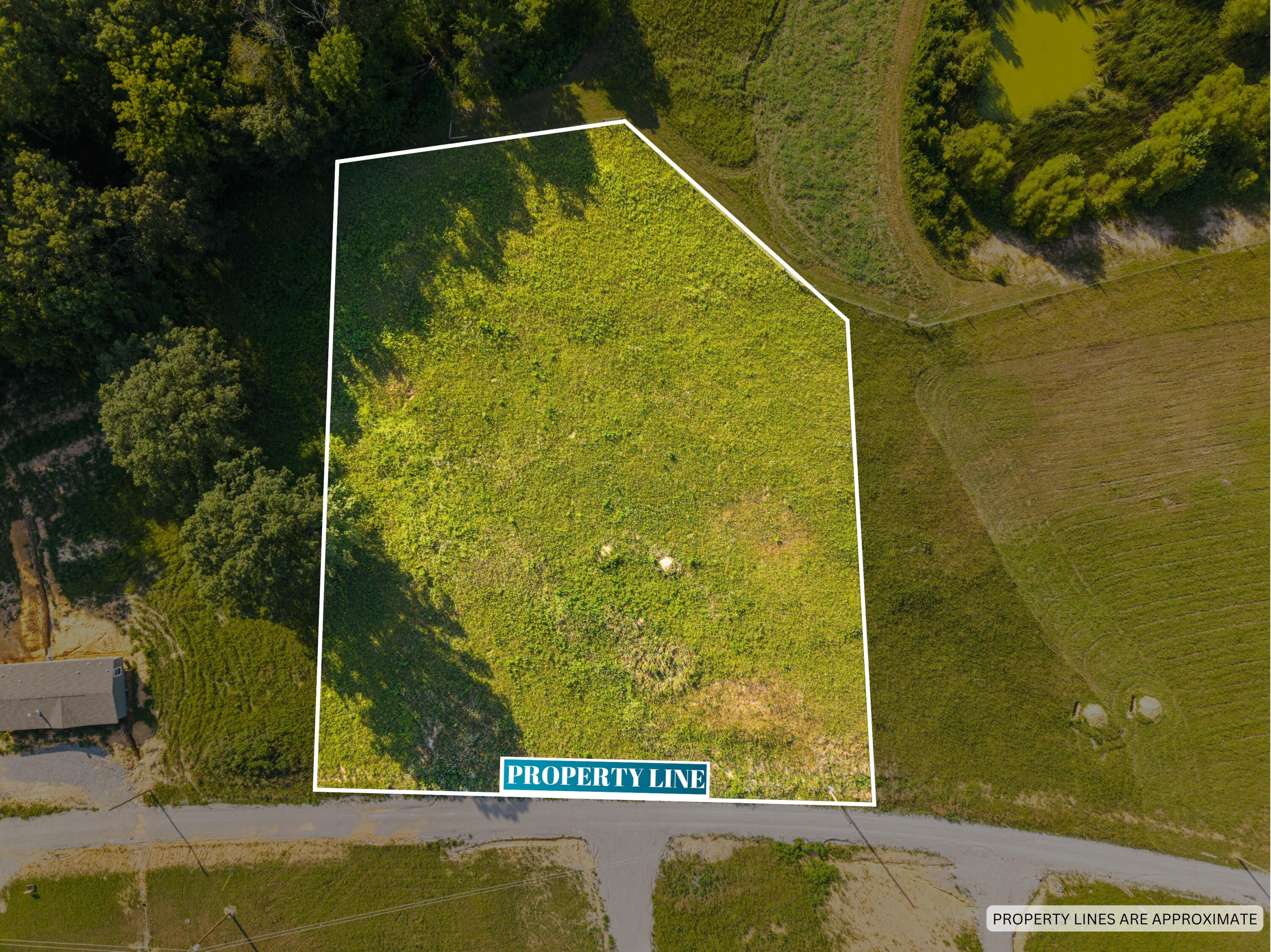Lot 38 Spring Branch Hollow Road Nancy, KY 42544 - Photo 1 of 13 PROPERTY LINE-4
