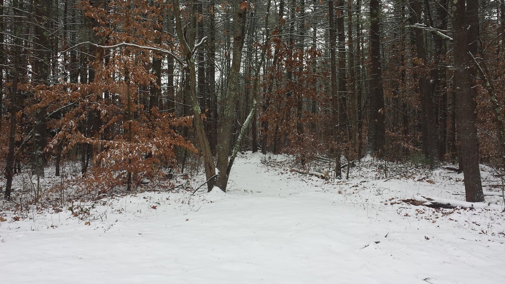 22 Scott Road Townsend, MA 01474 - Photo 24 of 24 a view of wooden fence of a house