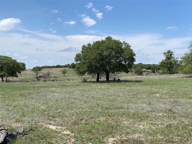 a view of a field with trees in background