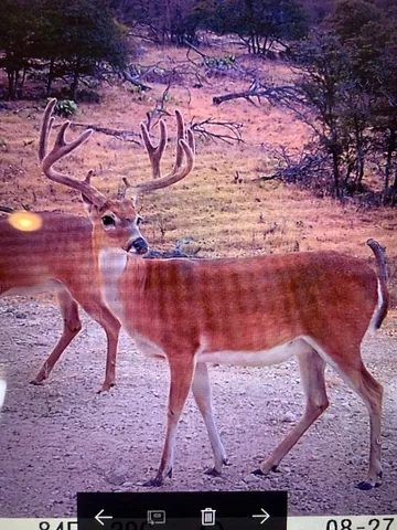 a view of water heater room