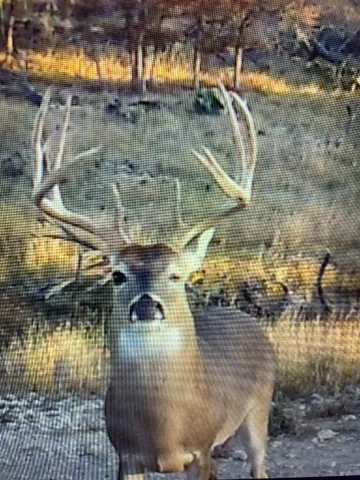 a view of outdoor space and seating area