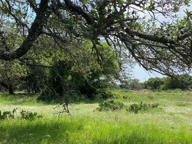 a view of a lush green space