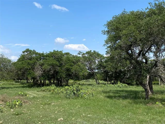 a view of a green field with lots of bushes