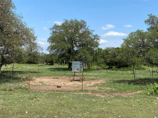 a view of a park with large trees