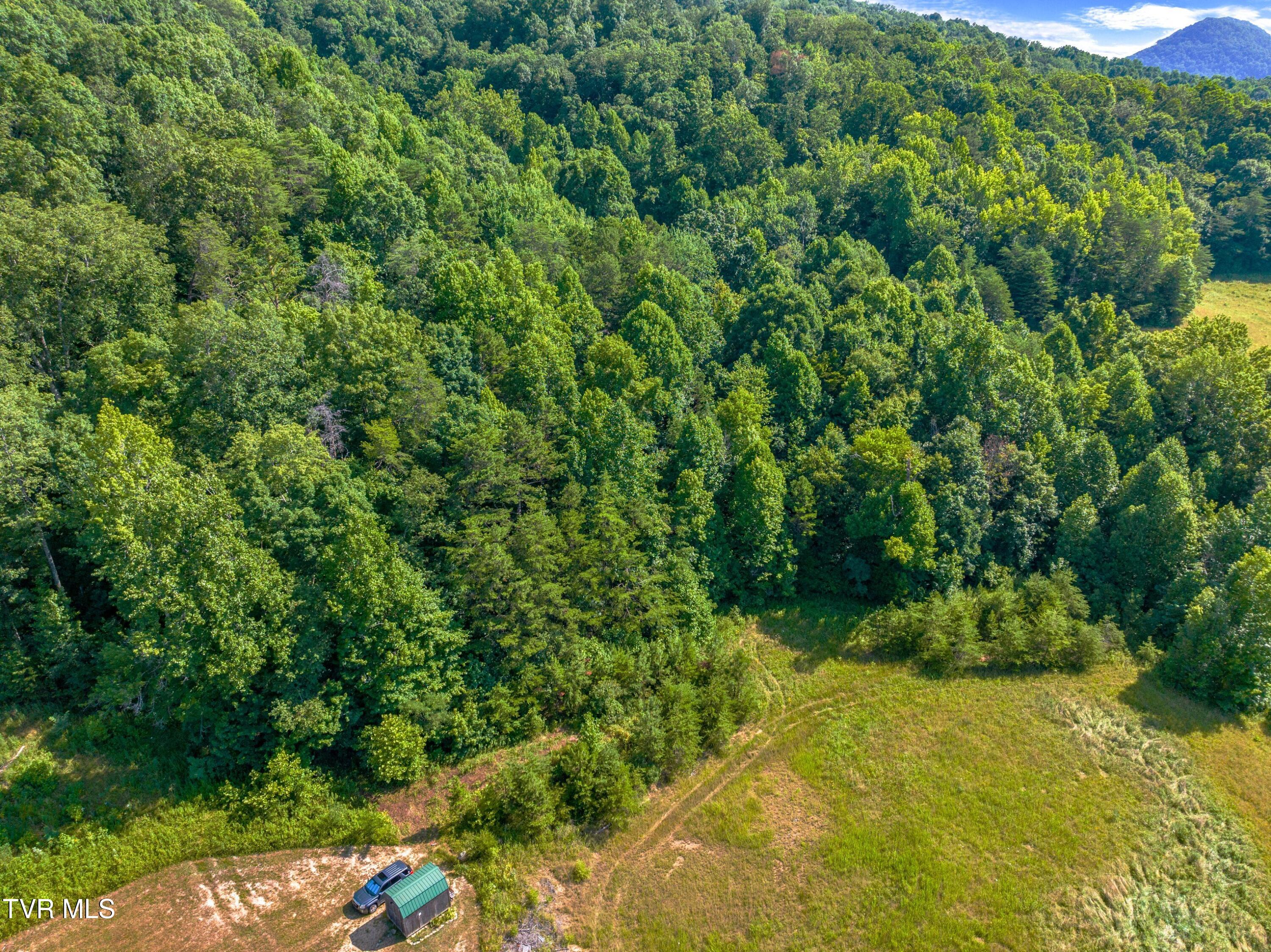 667 Sandy Valley Road Rogersville, TN 37857 - Photo 19 of 57 XJI_20240709102509_0088_D.jpg-SMALL