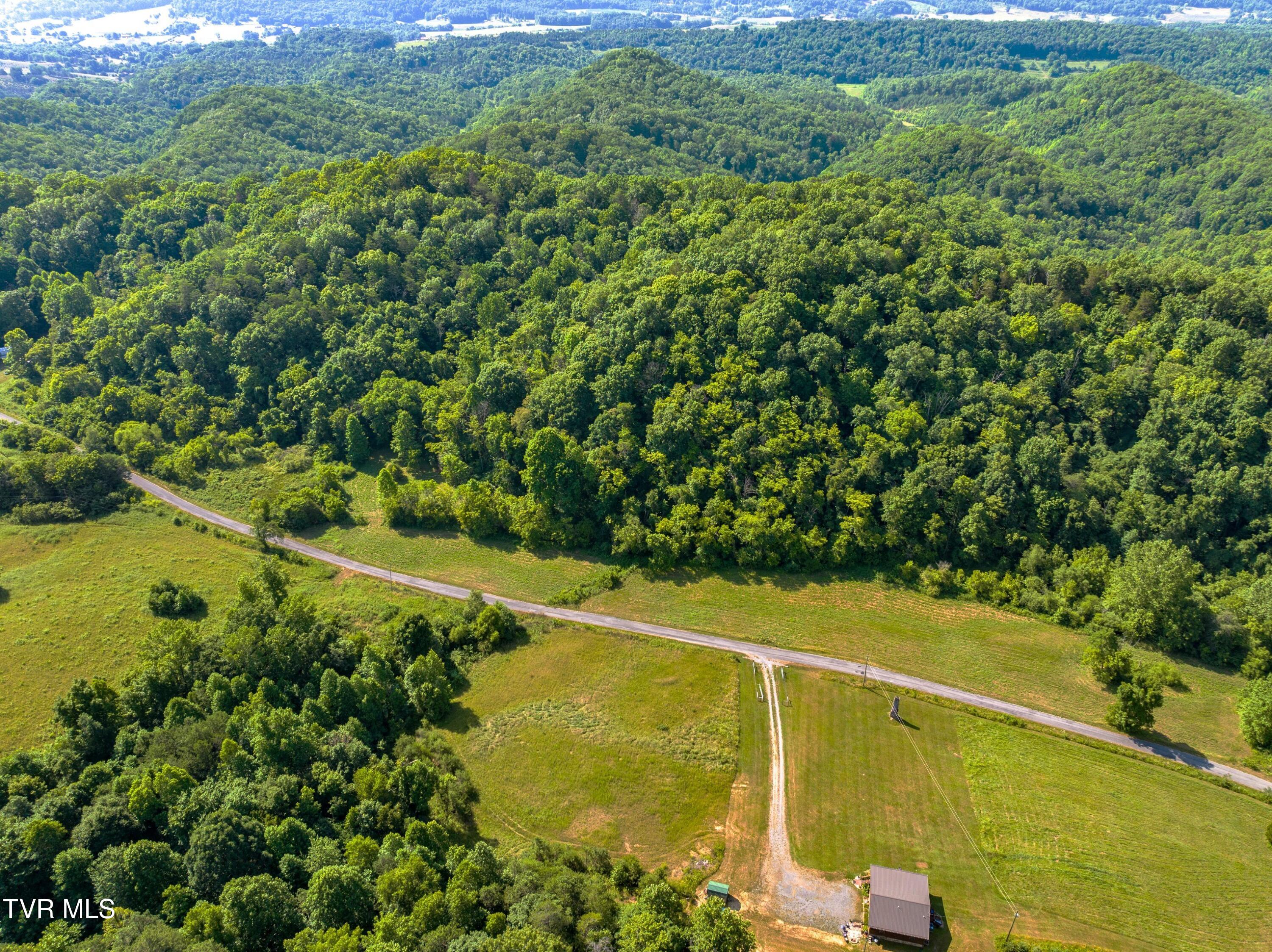 667 Sandy Valley Road Rogersville, TN 37857 - Photo 21 of 57 XJI_20240709102539_0100_D.jpg-SMALL