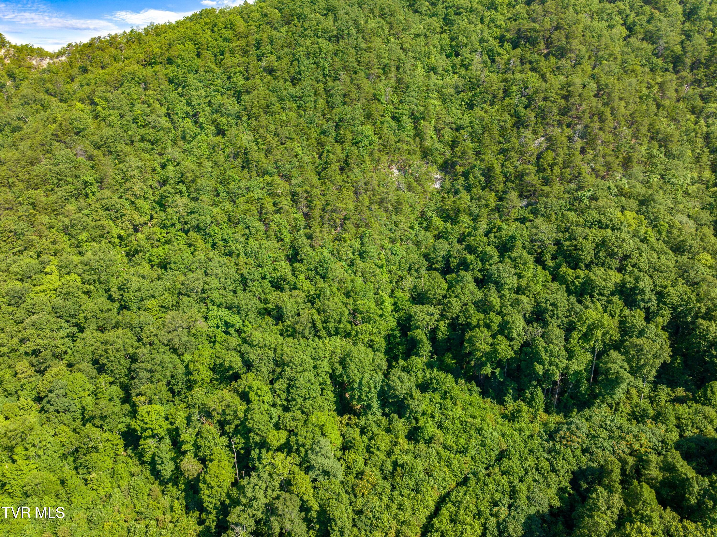 667 Sandy Valley Road Rogersville, TN 37857 - Photo 24 of 57 XJI_20240709102607_0115_D.jpg-SMALL