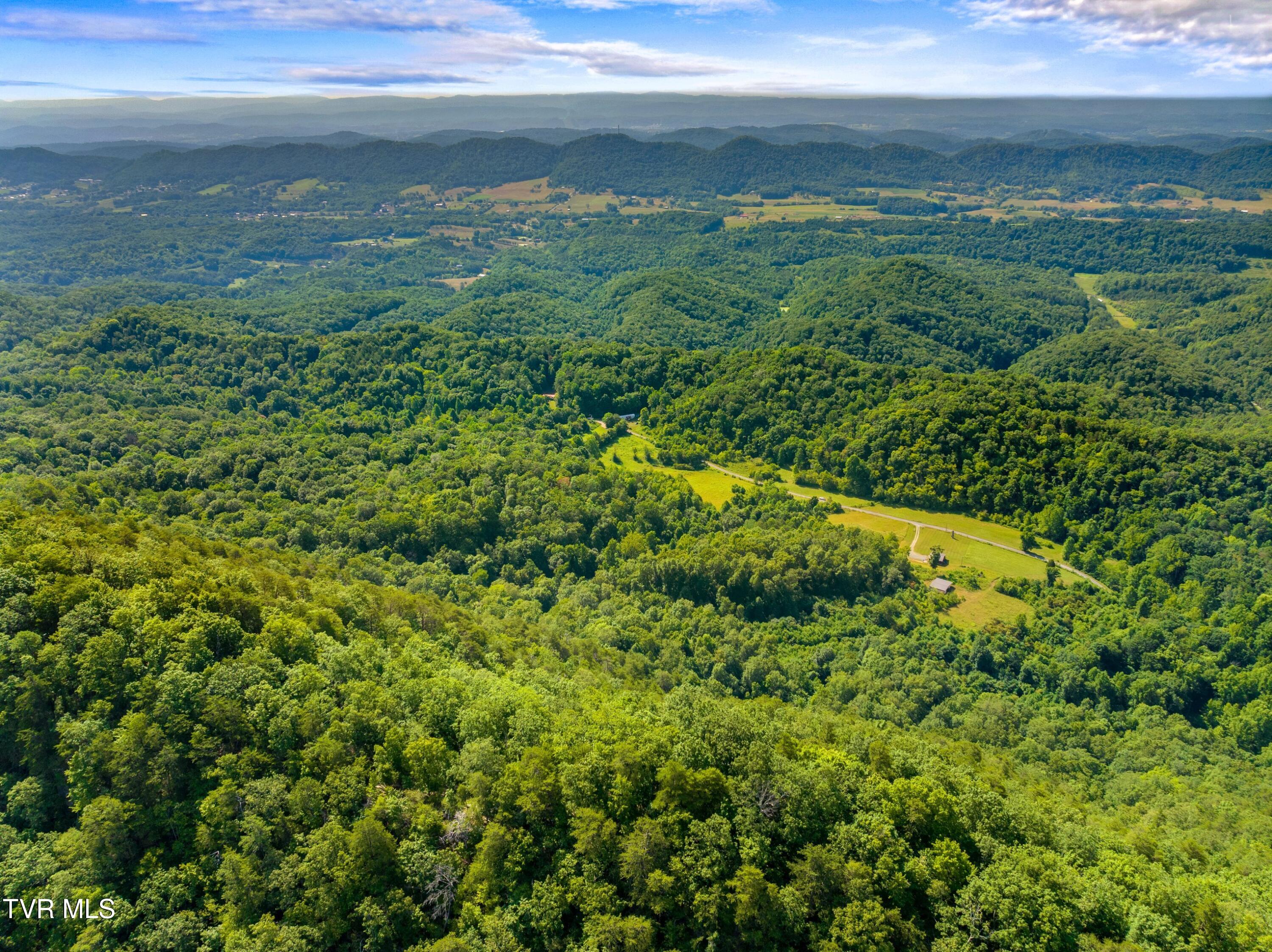 667 Sandy Valley Road Rogersville, TN 37857 - Photo 26 of 57 XJI_20240709102902_0125_D.jpg-SMALL