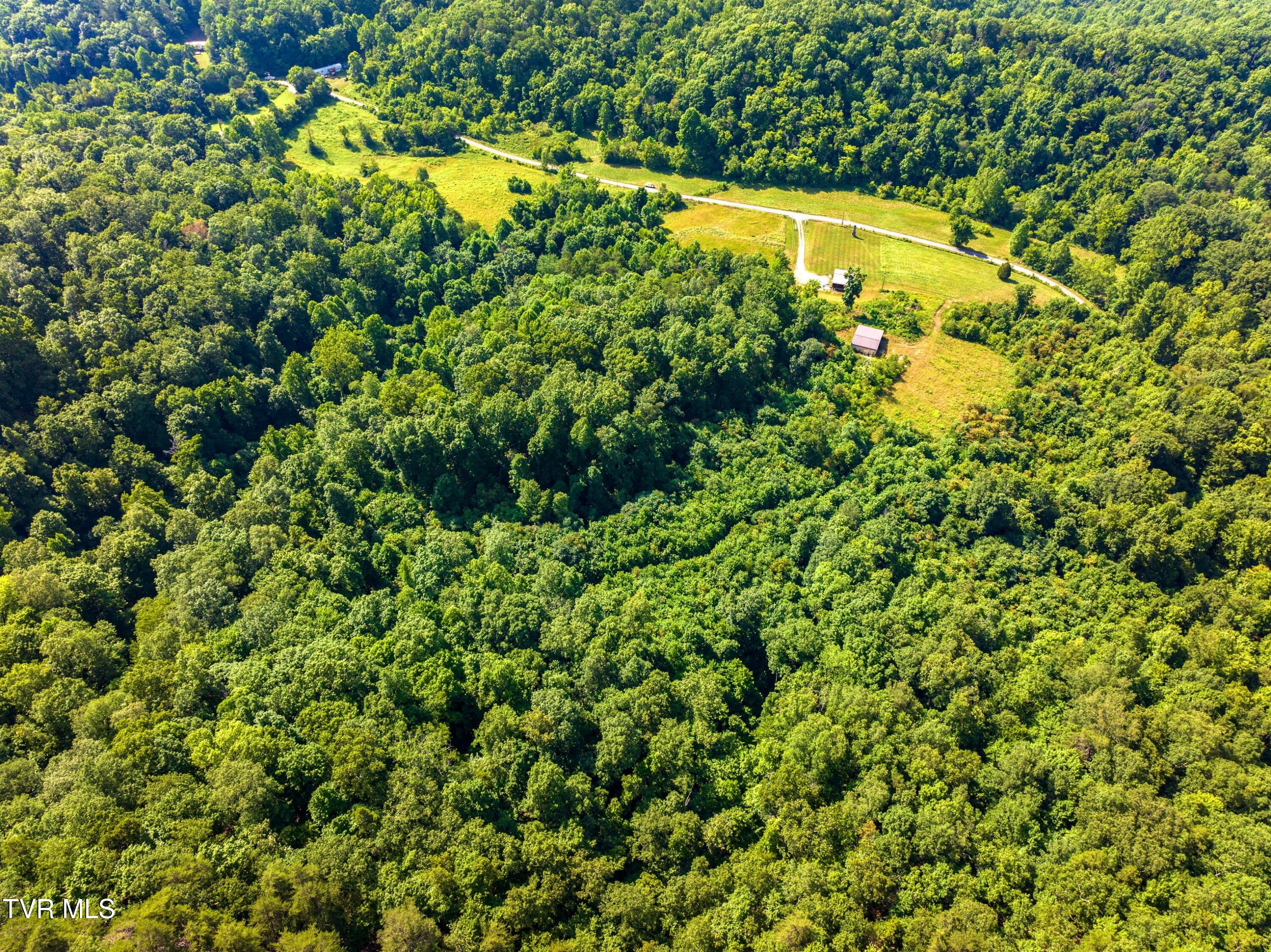 667 Sandy Valley Road Rogersville, TN 37857 - Photo 27 of 57 XJI_20240709102953_0130_D.jpg-SMALL