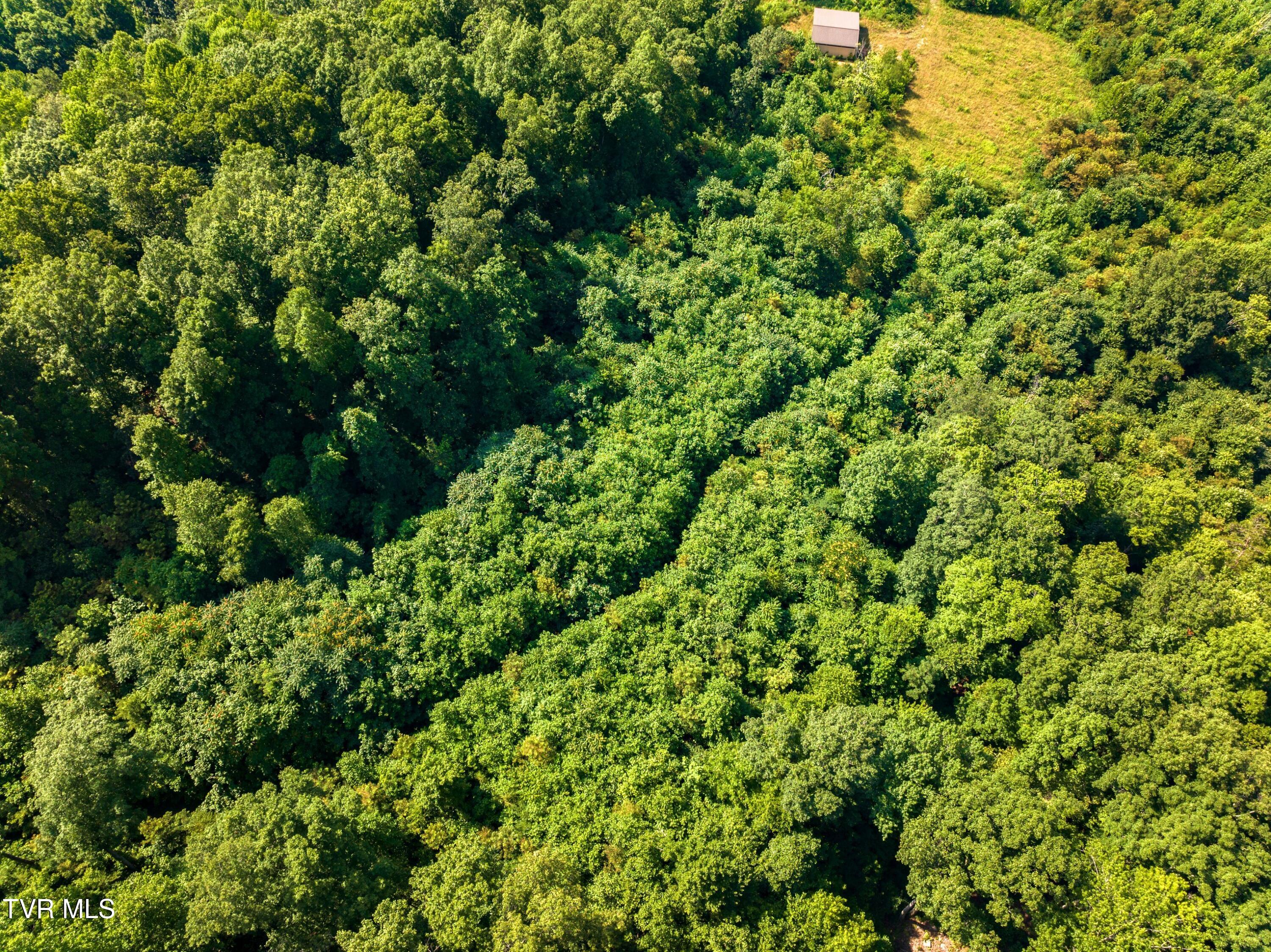 667 Sandy Valley Road Rogersville, TN 37857 - Photo 28 of 57 XJI_20240709103014_0135_D.jpg-SMALL