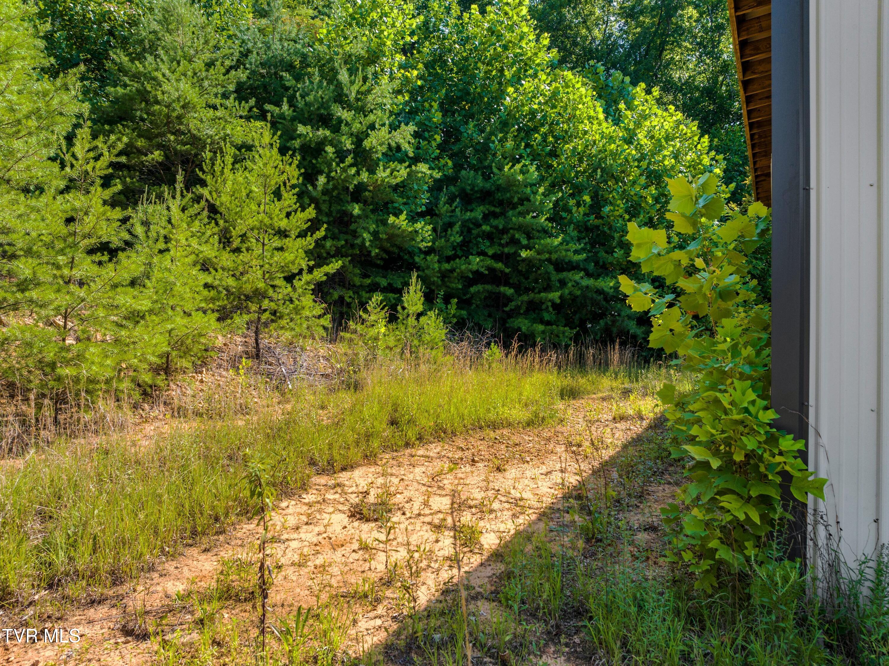 667 Sandy Valley Road Rogersville, TN 37857 - Photo 32 of 57 XJI_20240709103152_0155_D.jpg-SMALL