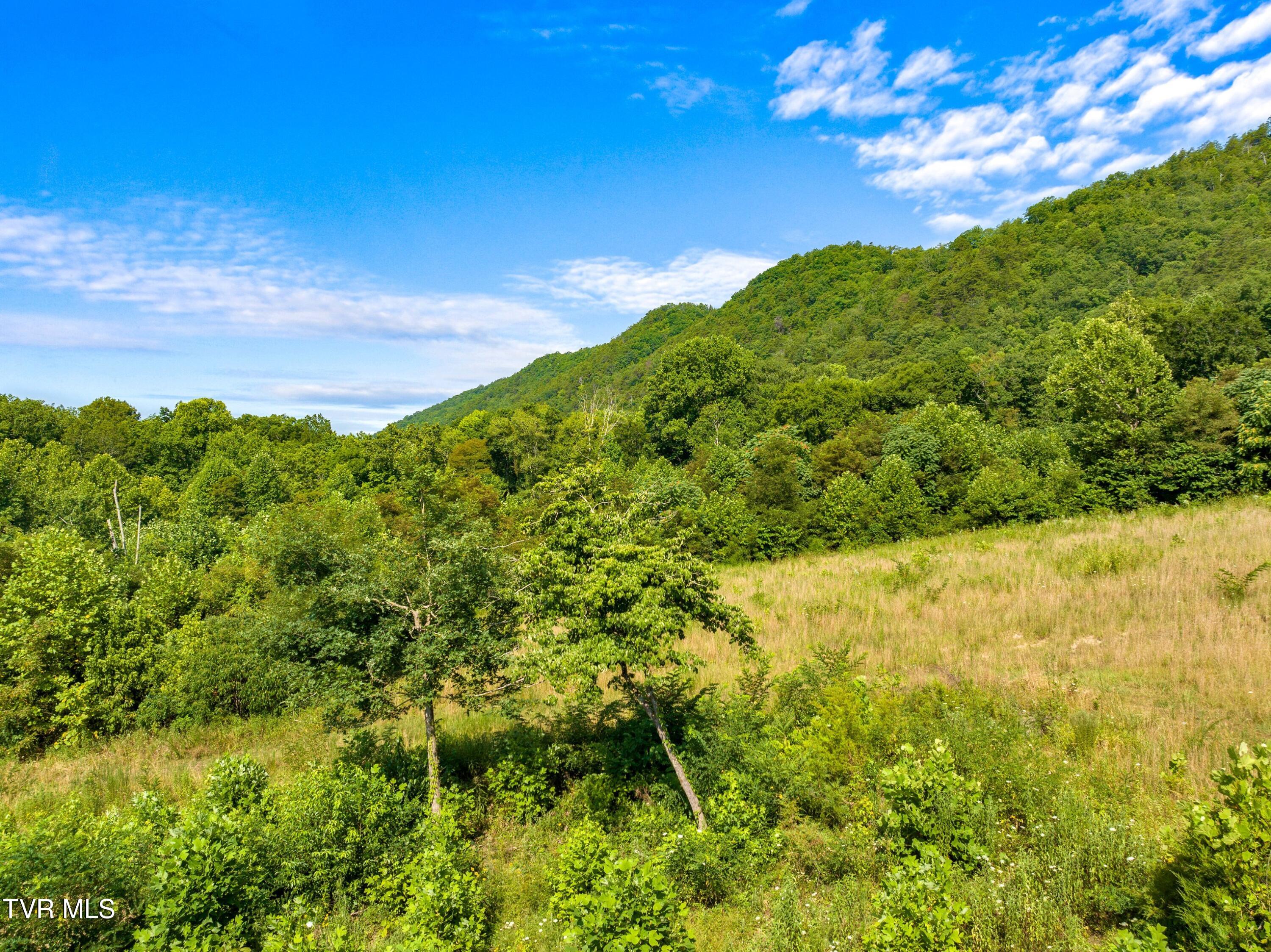 667 Sandy Valley Road Rogersville, TN 37857 - Photo 34 of 57 XJI_20240709103219_0165_D.jpg-SMALL