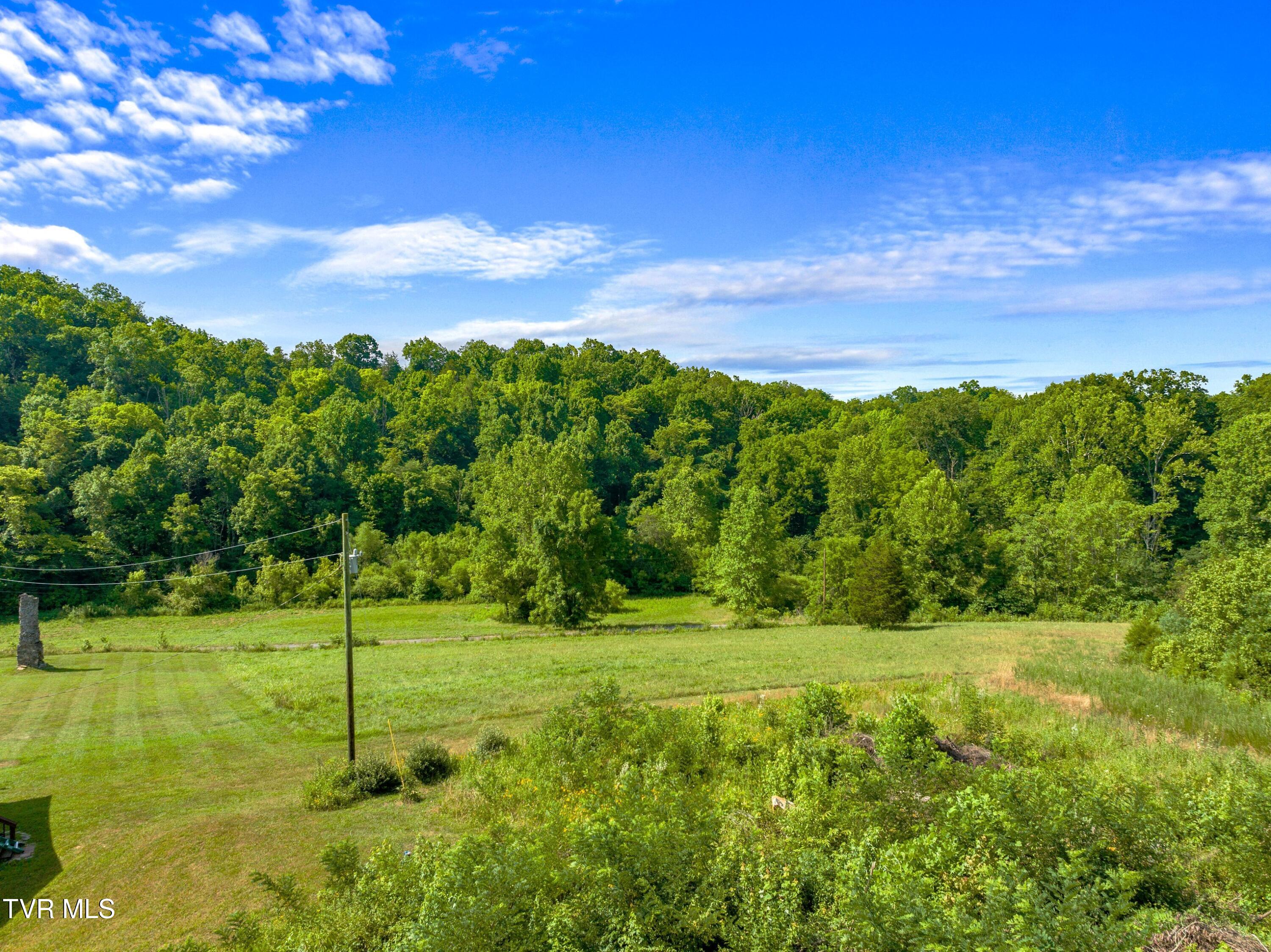 667 Sandy Valley Road Rogersville, TN 37857 - Photo 35 of 57 XJI_20240709103223_0170_D.jpg-SMALL