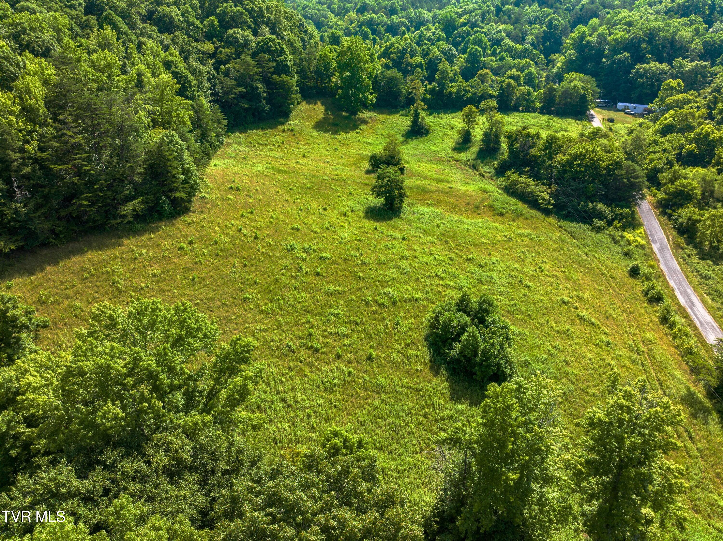 667 Sandy Valley Road Rogersville, TN 37857 - Photo 37 of 57 XJI_20240709103248_0180_D.jpg-SMALL