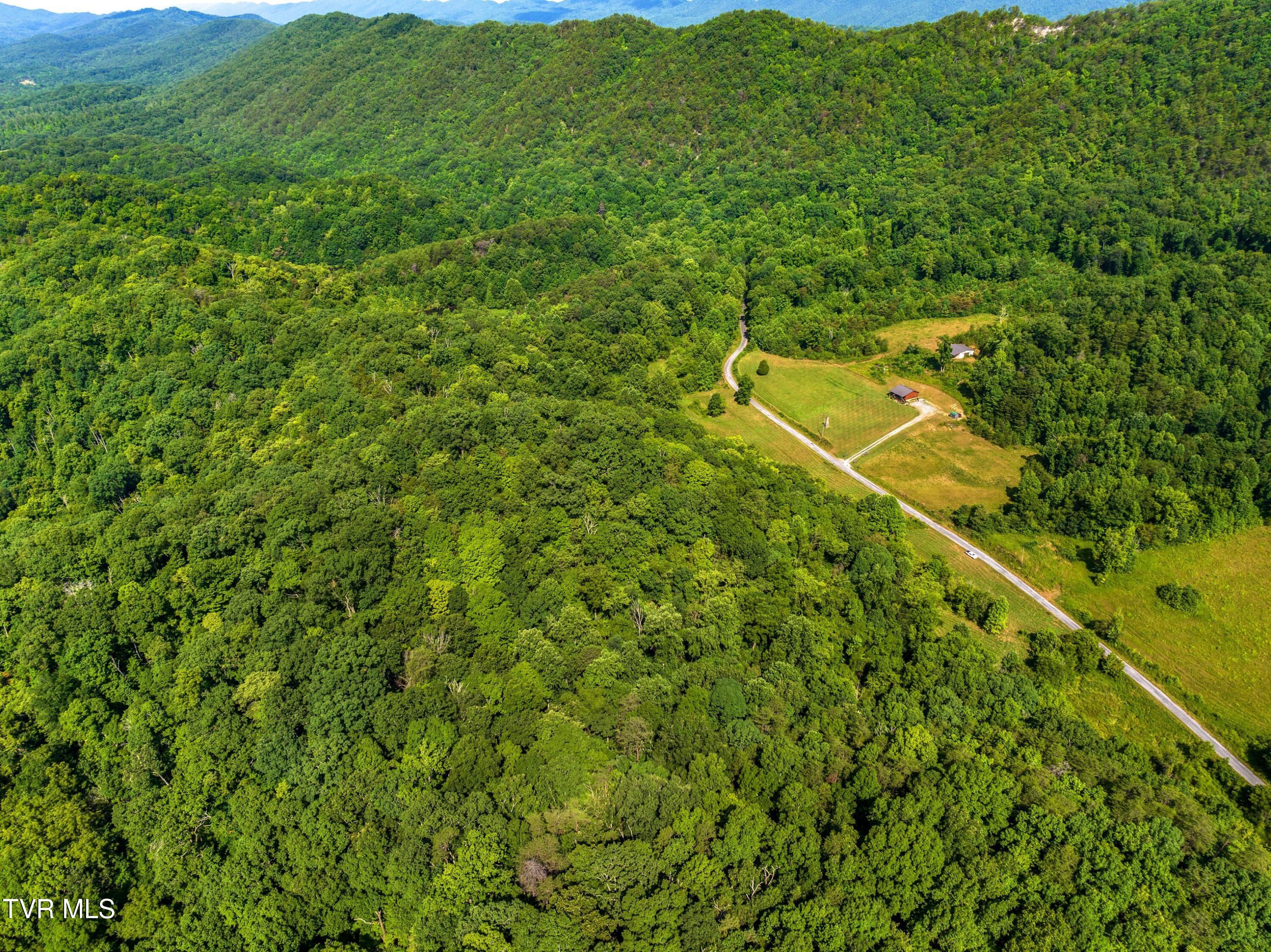667 Sandy Valley Road Rogersville, TN 37857 - Photo 39 of 57 XJI_20240709103348_0190_D.jpg-SMALL