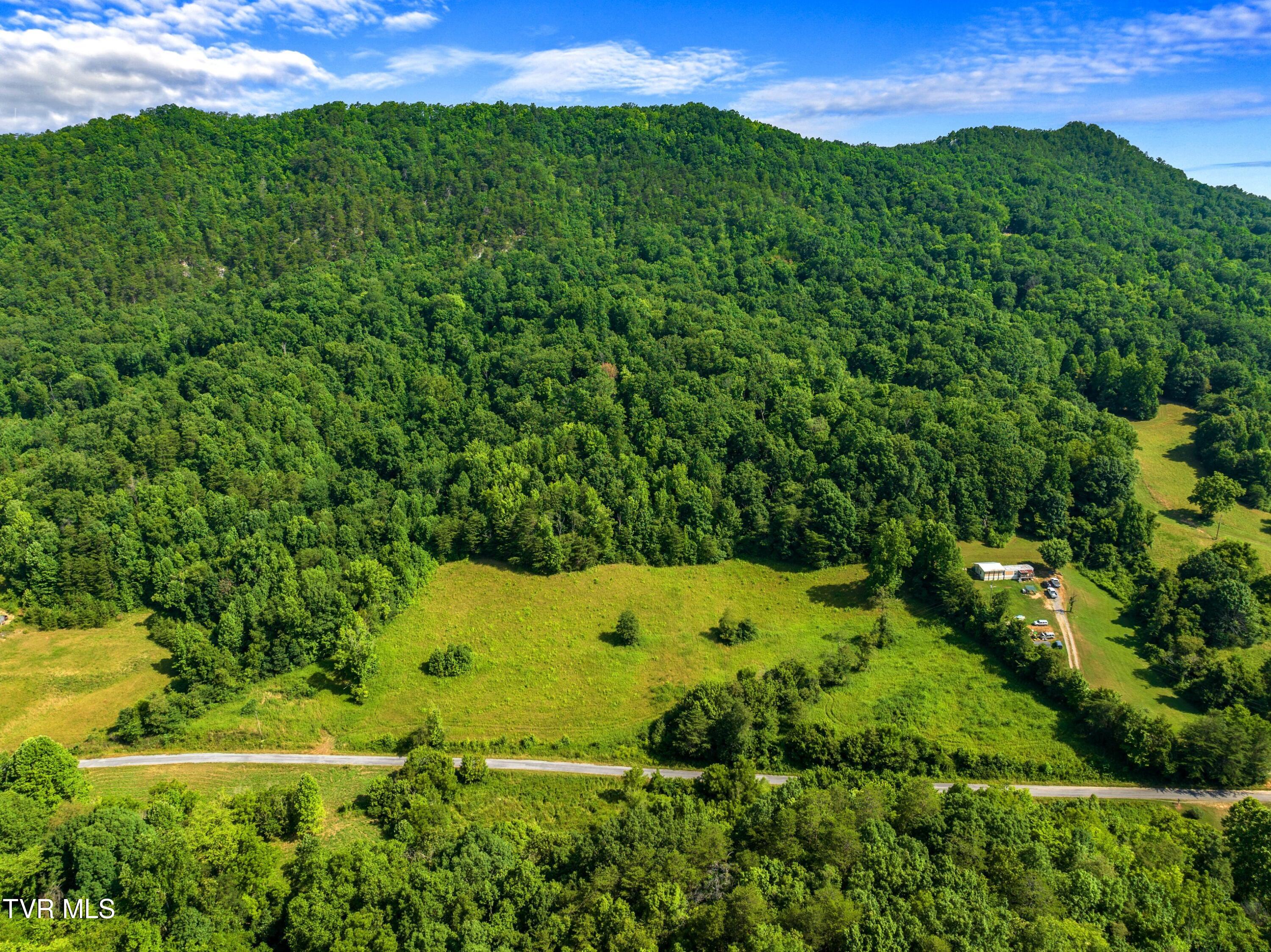 667 Sandy Valley Road Rogersville, TN 37857 - Photo 41 of 57 XJI_20240709103448_0200_D.jpg-SMALL