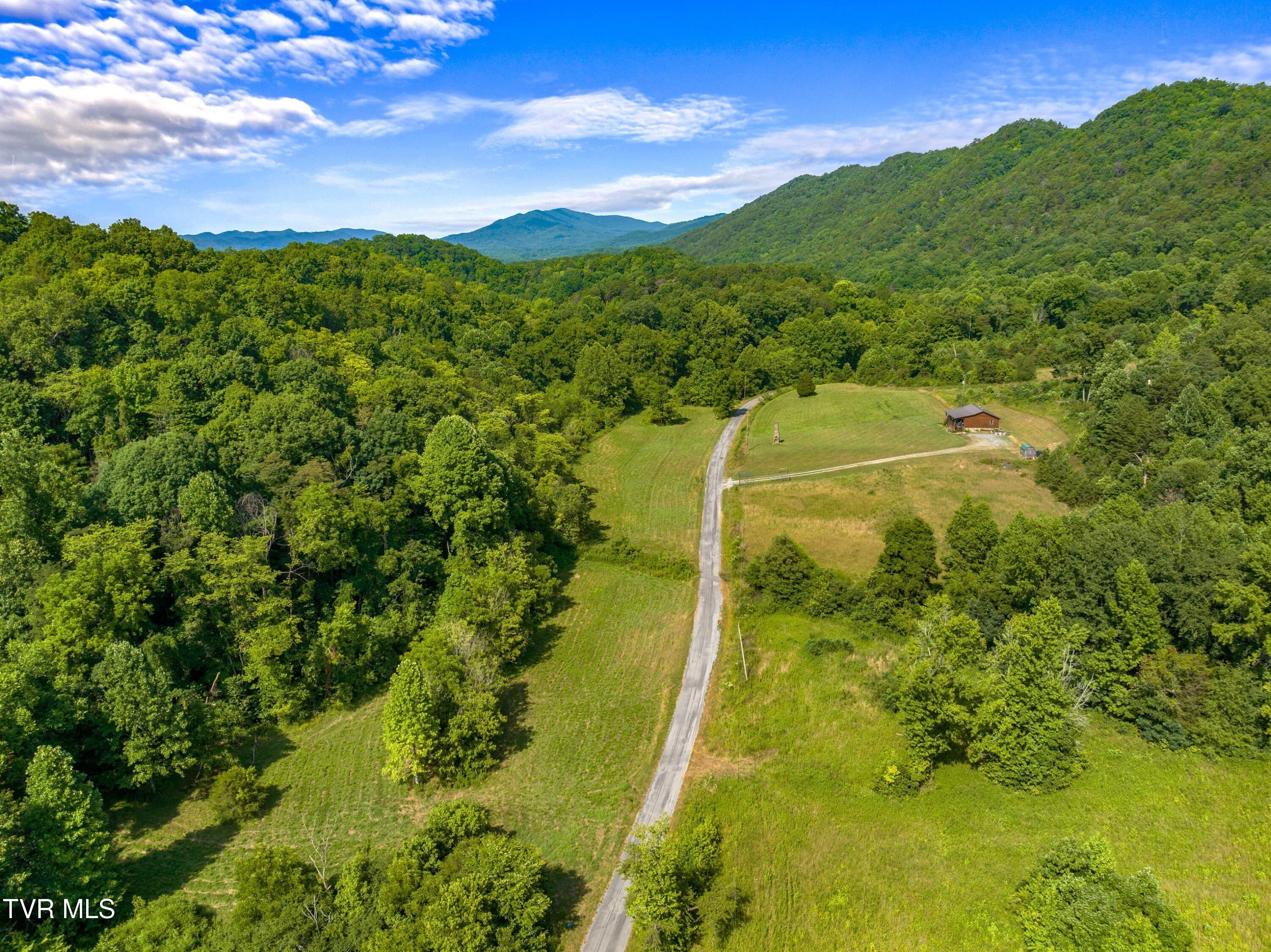 667 Sandy Valley Road Rogersville, TN 37857 - Photo 42 of 57 XJI_20240709103510_0205_D.jpg-SMALL