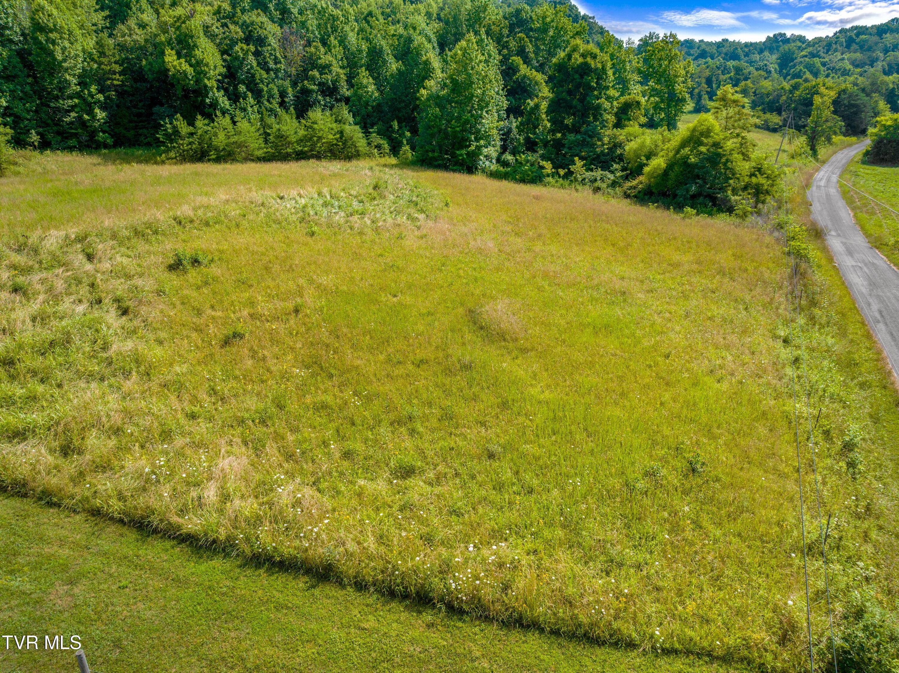 667 Sandy Valley Road Rogersville, TN 37857 - Photo 54 of 57 XJI_20240709104026_0280_D.jpg-SMALL