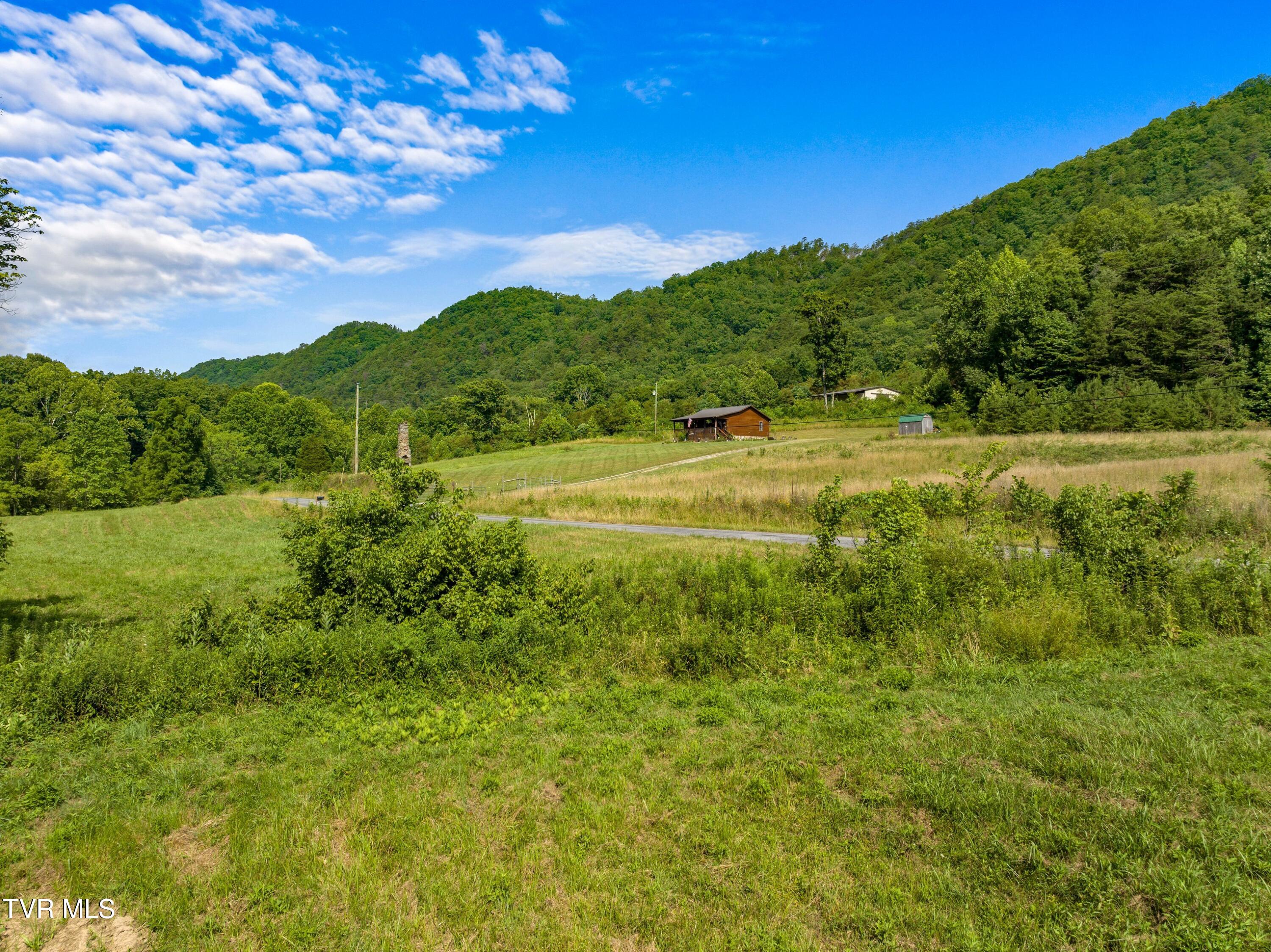 667 Sandy Valley Road Rogersville, TN 37857 - Photo 57 of 57 XJI_20240709104219_0295_D.jpg-SMALL