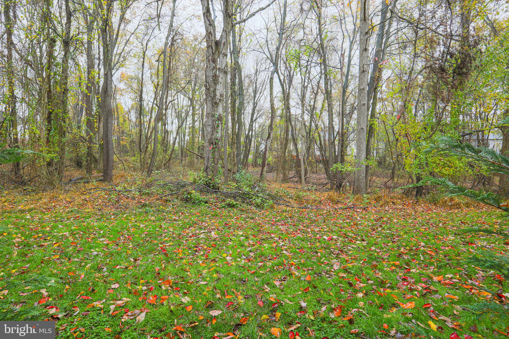 650 Kennington Road Reisterstown, MD 21136 - Photo 53 of 70 Gallery Image 53