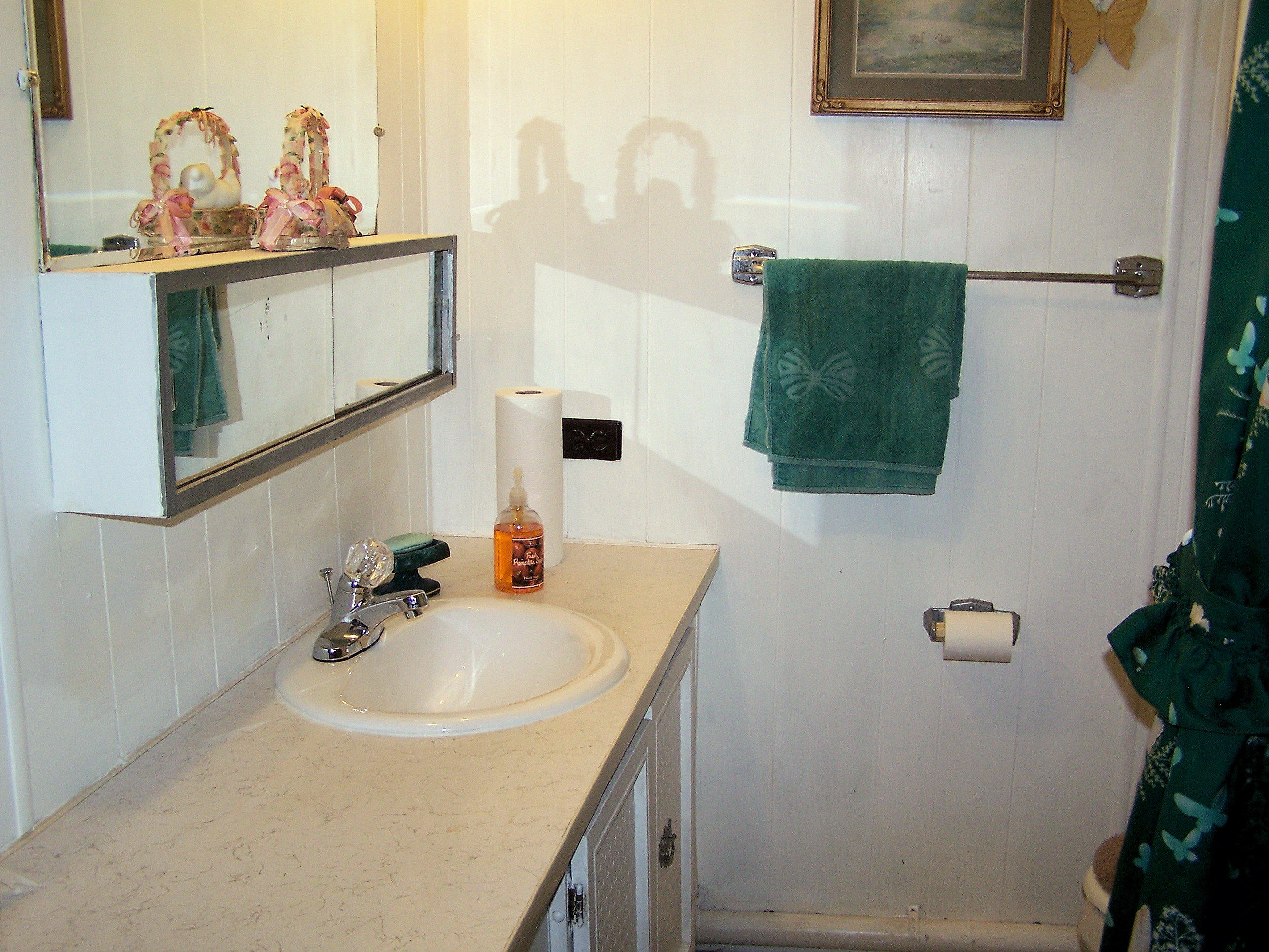 92 Pine Crest Road Fincastle, VA 24090 - Photo 11 of 21 Bathroom