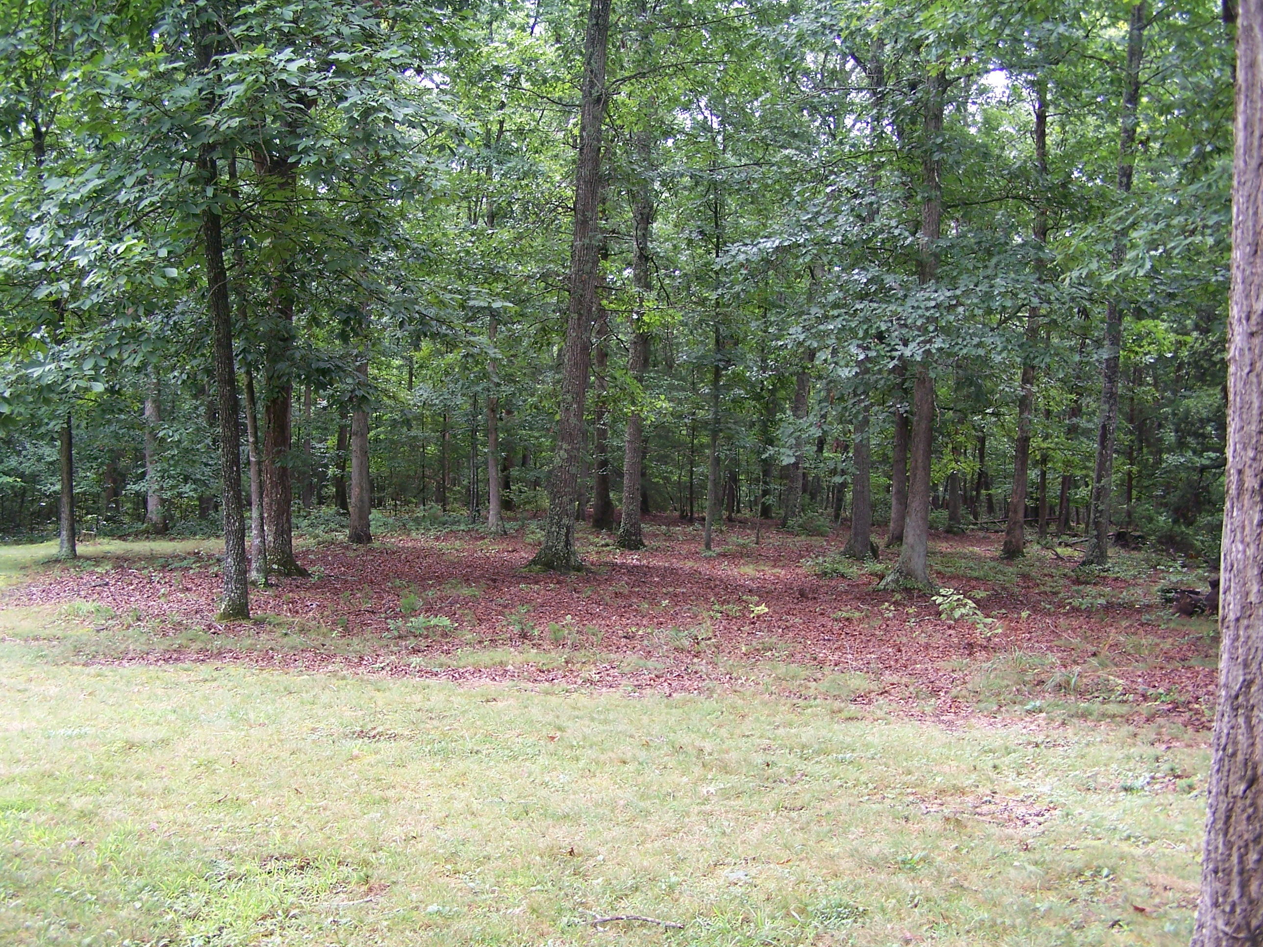 92 Pine Crest Road Fincastle, VA 24090 - Photo 16 of 21 Back yard (2)