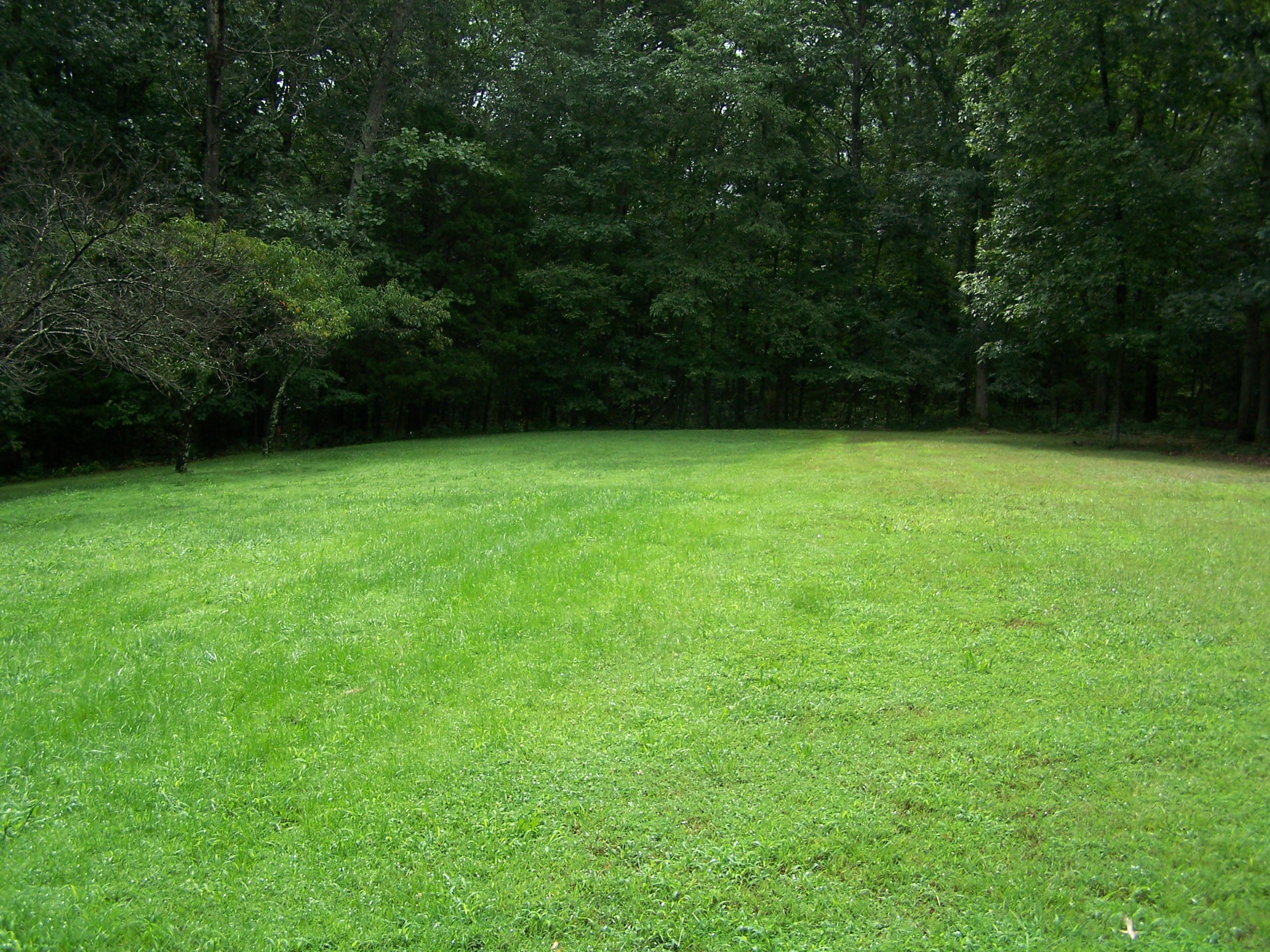 92 Pine Crest Road Fincastle, VA 24090 - Photo 18 of 21 Back yard