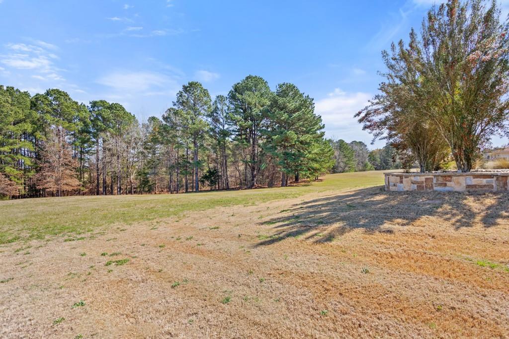 21883 Syrah Lane Tyler, TX 75703 - Photo 5 of 39