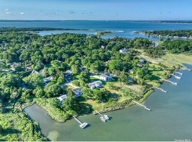 a view of a garden with an outdoor space