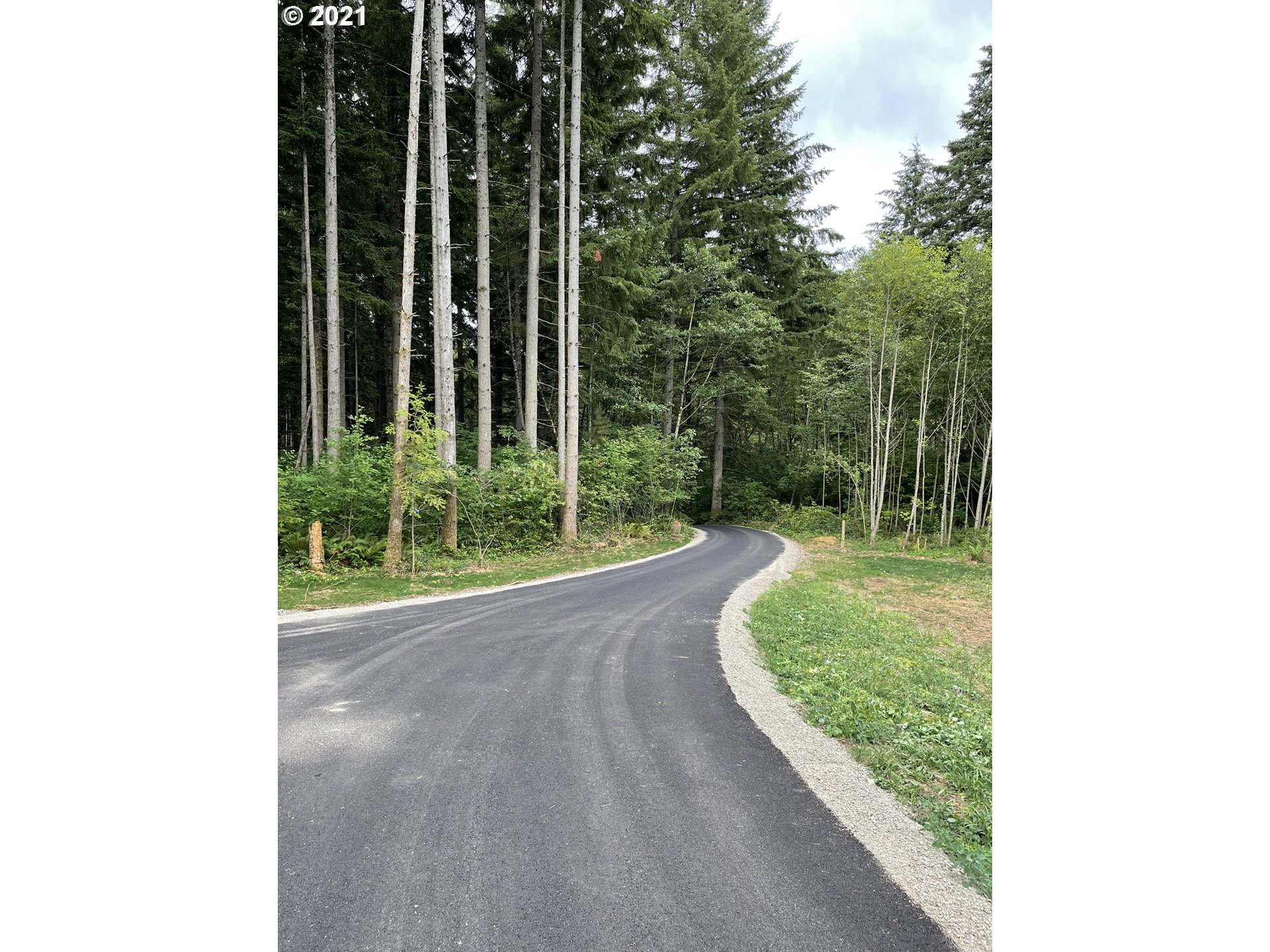 5 Northeast 65th Street Camas, WA 98607 - Photo 5 of 27 a view of a garden