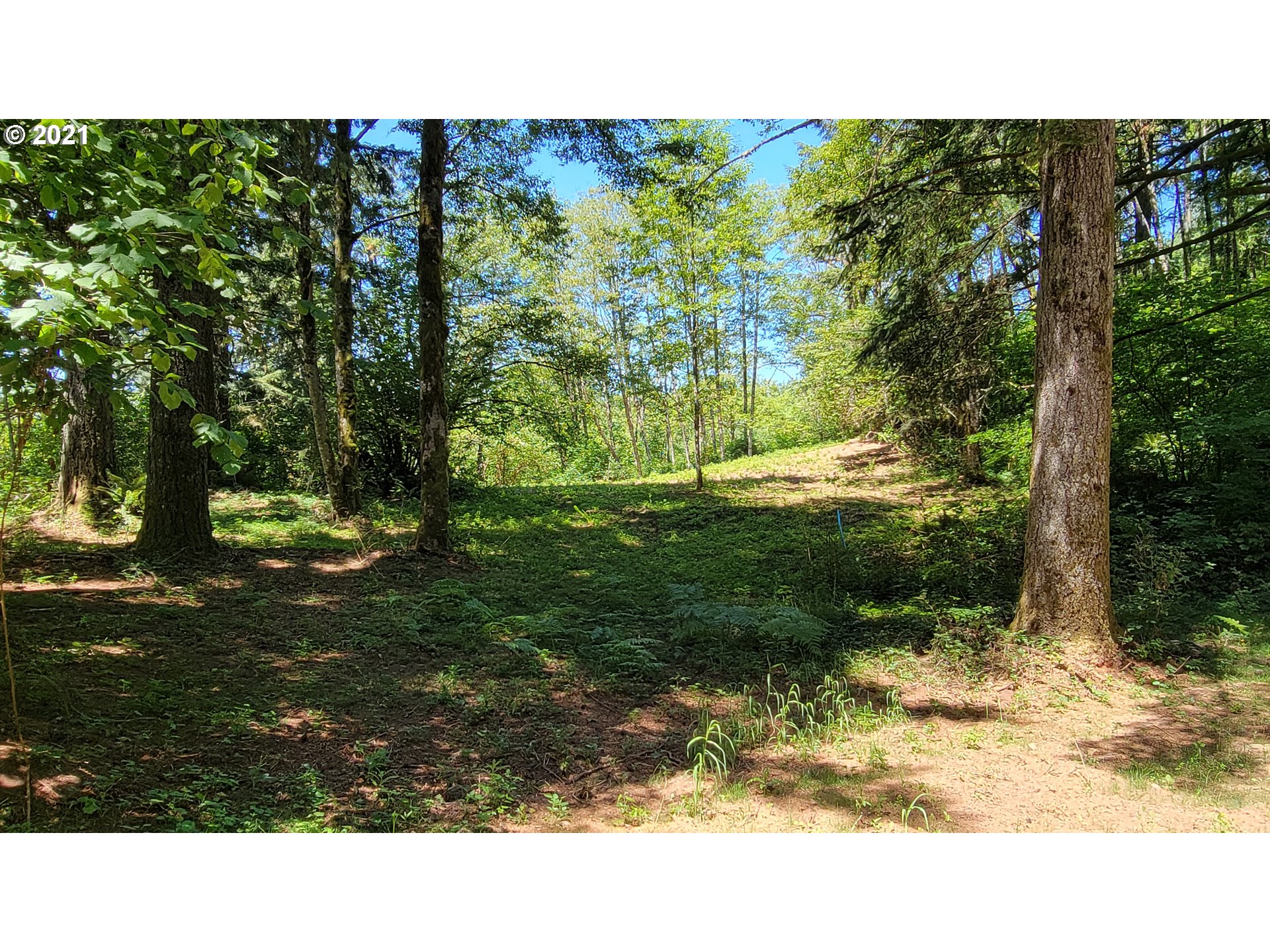 5 Northeast 65th Street Camas, WA 98607 - Photo 9 of 27 a view of outdoor space and yard