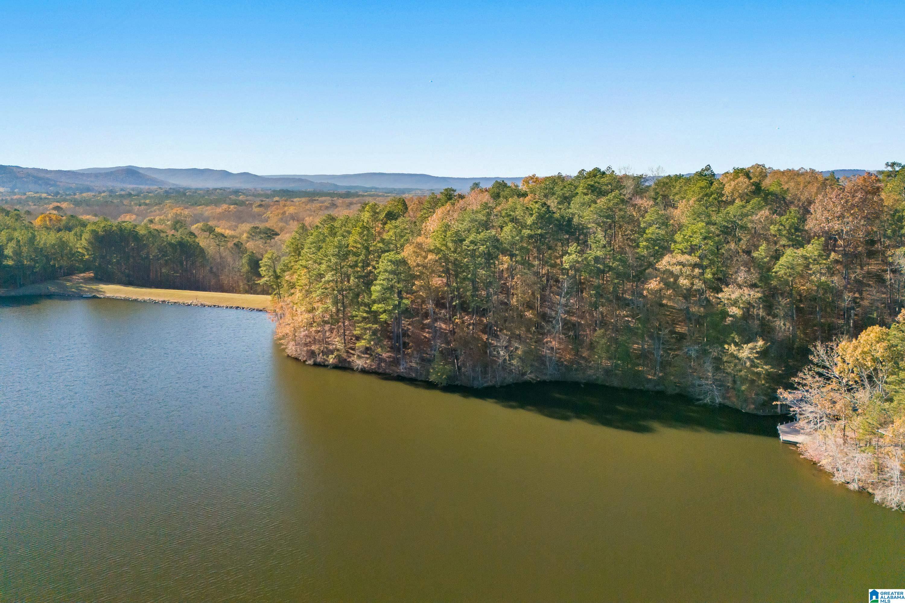 0 Pumpkin Hollow Road Sterrett, AL 35147 - Photo 5 of 55