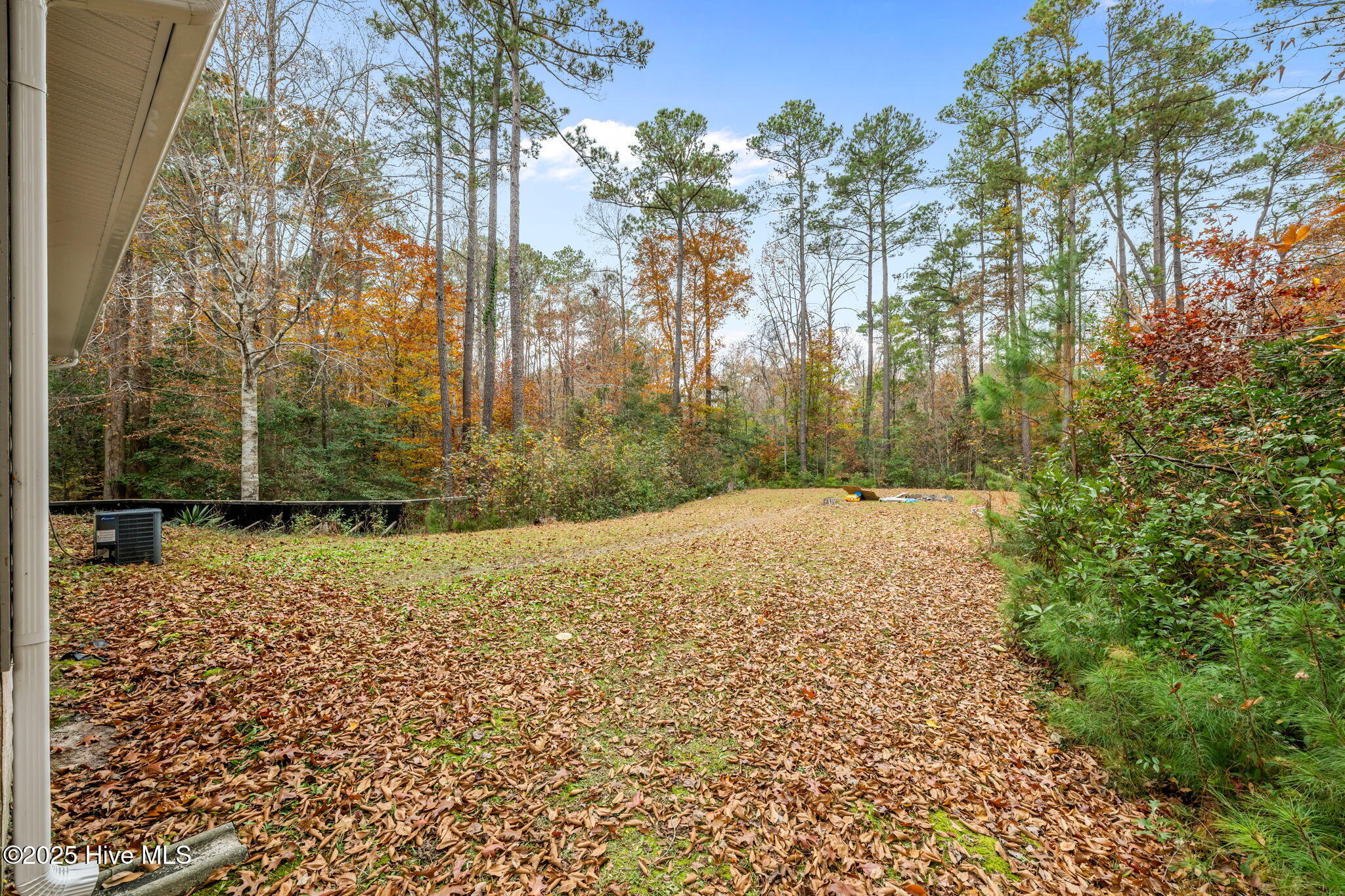 113 Ridgewood Trail New Bern, NC 28560 - Photo 27 of 27 33-web-or-mls-DSC_0983