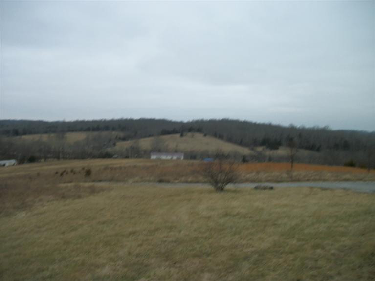 151 Snow Road Cynthiana, KY 41031 - Photo 8 of 22 Gallery Image 8