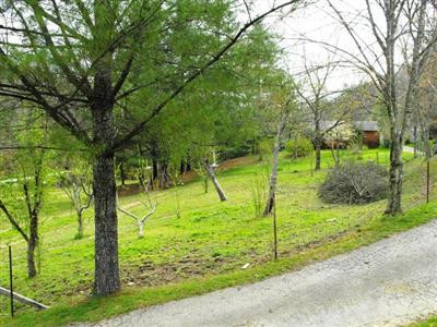 772 Whetstone Branch Road Campton, KY 41301 - Photo 18 of 53 Photo 18
