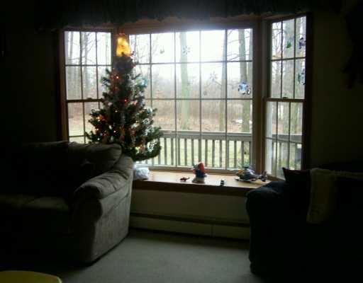 370 South Foster Road Jackson Center, PA 16133 - Photo 3 of 7