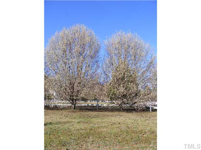 222 Harris Road Smithfield, NC 27577 - Photo 20 of 24 Gallery Image 20