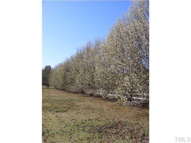 222 Harris Road Smithfield, NC 27577 - Photo 21 of 24 Gallery Image 21