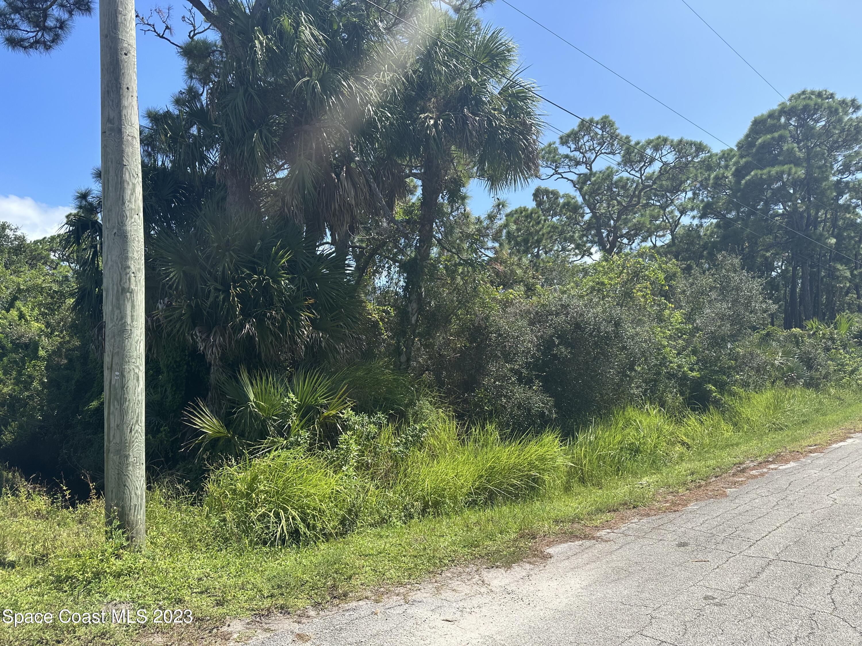 0 Las Pamos Drive Grant, FL 32949 - Photo 2 of 4 a view of a garden
