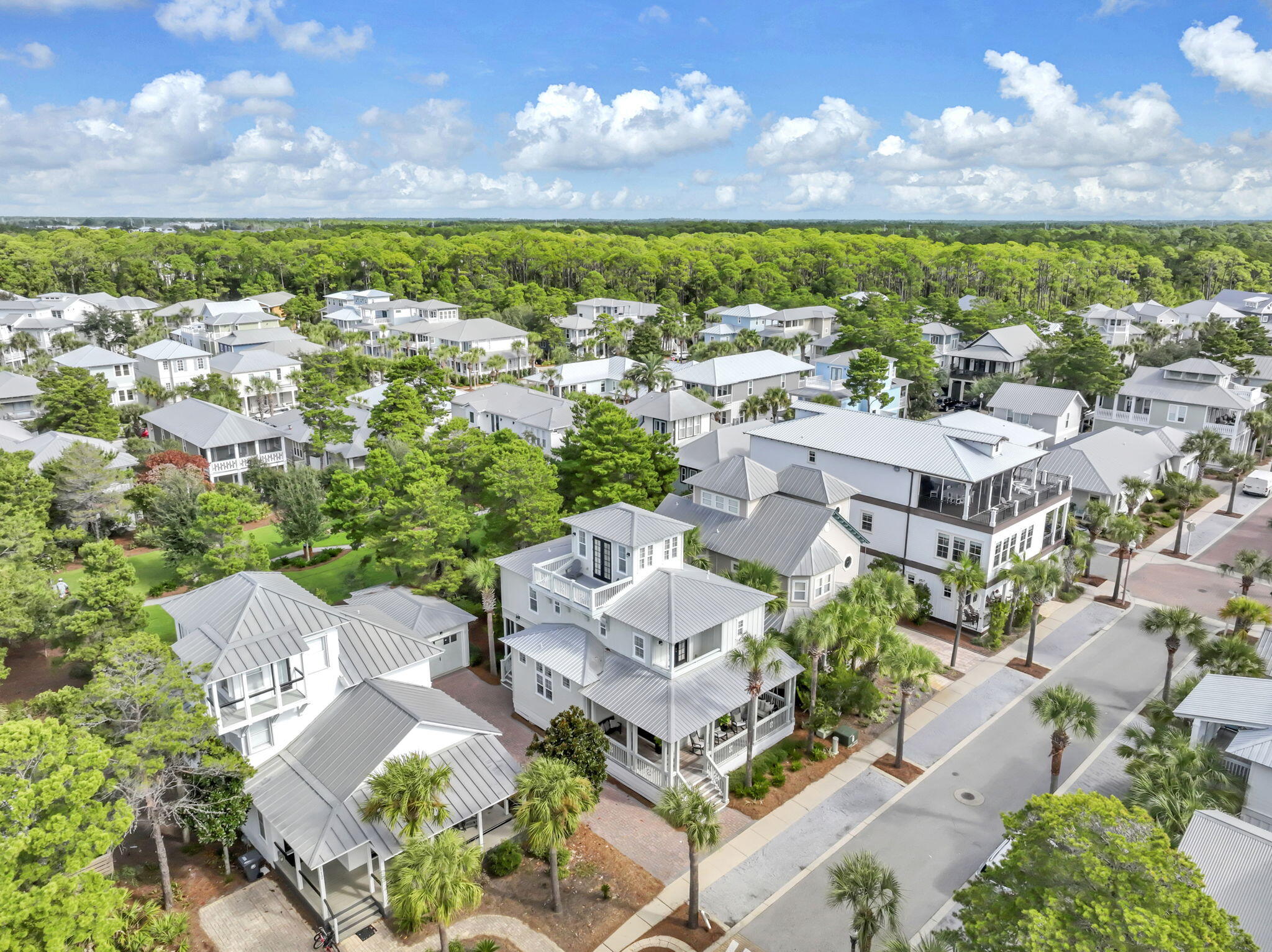 137 Seacrest Beach Boulevard East, Unit E Inlet Beach, FL 32461 - Photo 66 of 75 68-web-or-mls-DJI_0107